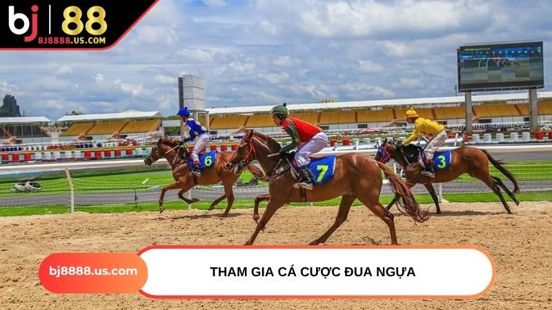 Tham gia cá cược đua ngựa