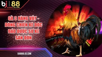 Gà 3 Hàng Vảy - Dòng Chiến Kê Độc Đáo Được Sư Kê Săn Đón