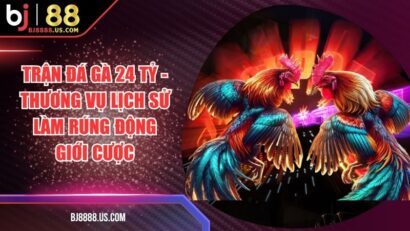 Trận Đá Gà 24 Tỷ - Thương Vụ Lịch Sử Làm Rúng Động Giới Cược