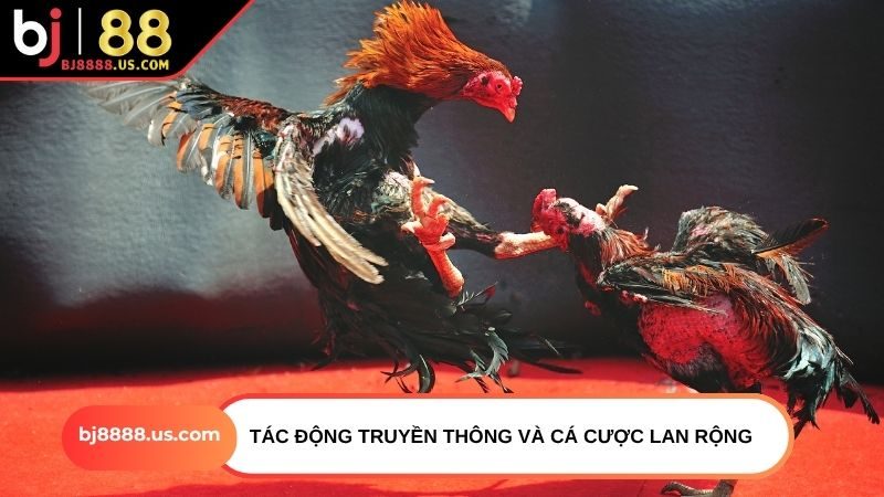 Tác động truyền thông và cá cược lan rộng