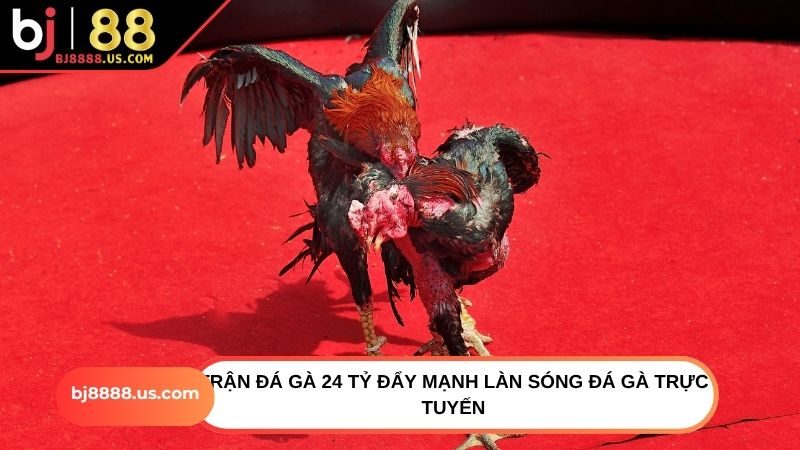 Trận đá gà 24 tỷ đẩy mạnh làn sóng đá gà trực tuyến