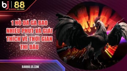 1 Hồ Đá Gà Bao Nhiêu Phút Và Giải Thích Về Thời Gian Thi Đấu