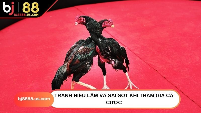 Tránh hiểu lầm và sai sót khi tham gia cá cược