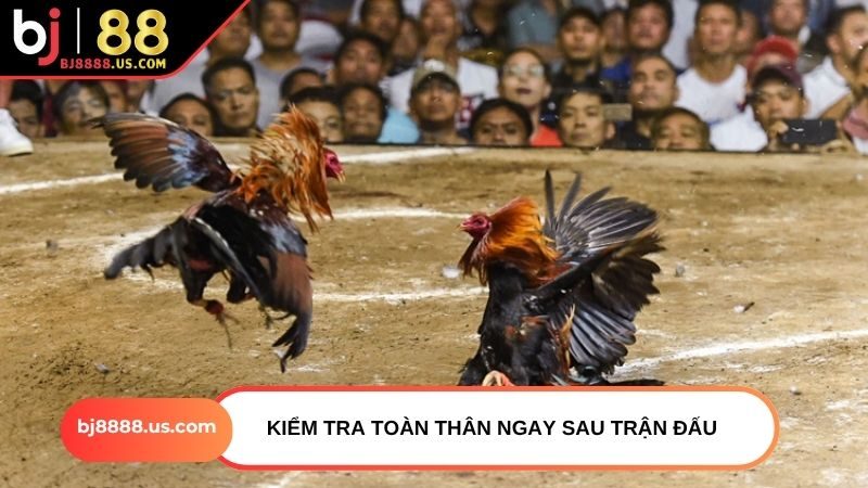 Kiểm tra toàn thân ngay sau trận đấu