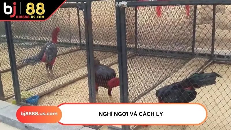 Nghỉ ngơi và cách ly