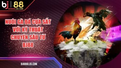 Nuôi Gà Đá Cựa Sắt Với Kỹ Thuật Chuyên Sâu Từ BJ88